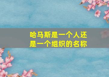 哈马斯是一个人还是一个组织的名称