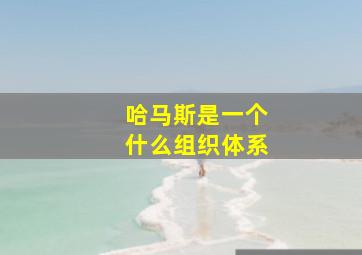 哈马斯是一个什么组织体系