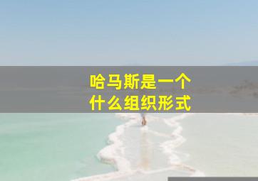 哈马斯是一个什么组织形式