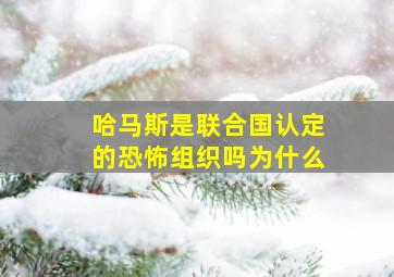 哈马斯是联合国认定的恐怖组织吗为什么