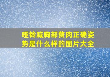 哑铃减胸部赘肉正确姿势是什么样的图片大全