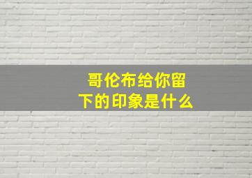 哥伦布给你留下的印象是什么