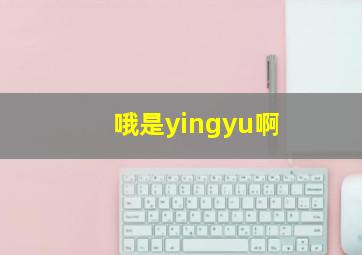 哦是yingyu啊