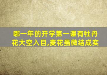 哪一年的开学第一课有牡丹花大空入目,麦花虽微结成实