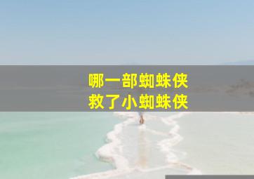 哪一部蜘蛛侠救了小蜘蛛侠