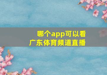 哪个app可以看广东体育频道直播