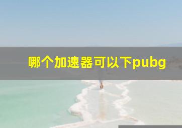 哪个加速器可以下pubg