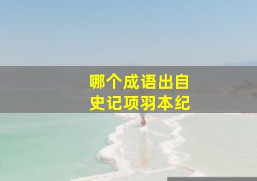 哪个成语出自史记项羽本纪