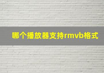 哪个播放器支持rmvb格式