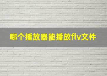 哪个播放器能播放flv文件