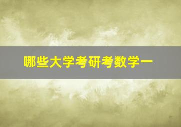 哪些大学考研考数学一