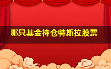 哪只基金持仓特斯拉股票