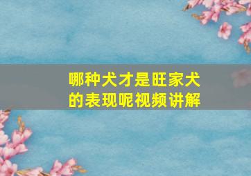 哪种犬才是旺家犬的表现呢视频讲解