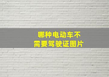 哪种电动车不需要驾驶证图片