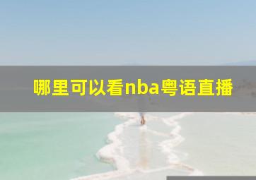 哪里可以看nba粤语直播