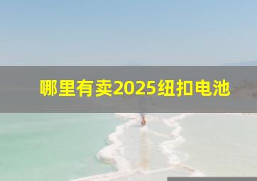 哪里有卖2025纽扣电池