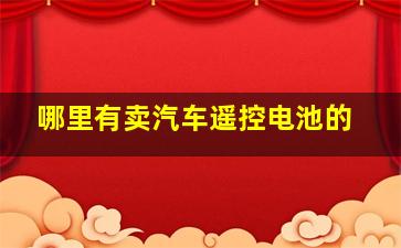 哪里有卖汽车遥控电池的