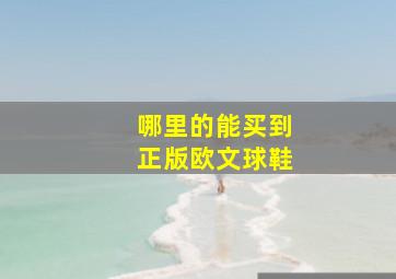 哪里的能买到正版欧文球鞋