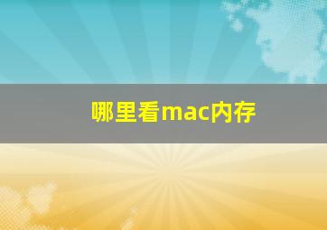 哪里看mac内存