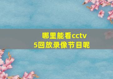 哪里能看cctv5回放录像节目呢