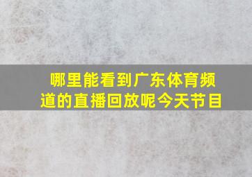 哪里能看到广东体育频道的直播回放呢今天节目