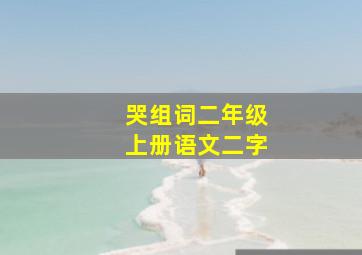 哭组词二年级上册语文二字