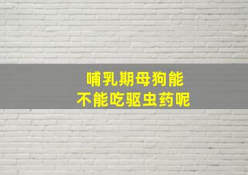 哺乳期母狗能不能吃驱虫药呢