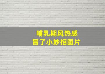 哺乳期风热感冒了小妙招图片