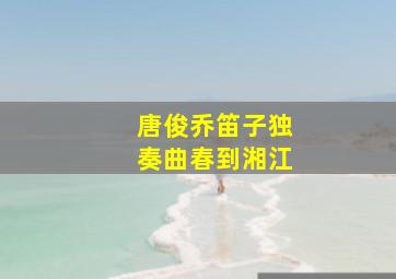 唐俊乔笛子独奏曲春到湘江