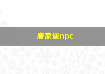 唐家堡npc