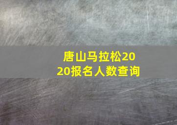 唐山马拉松2020报名人数查询