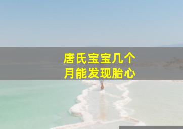 唐氏宝宝几个月能发现胎心