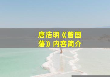 唐浩明《曾国藩》内容简介