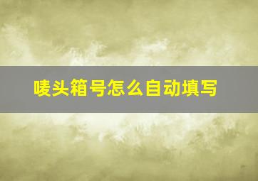 唛头箱号怎么自动填写