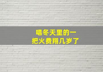 唱冬天里的一把火费翔几岁了