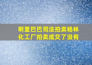 啊里巴巴司法拍卖杨林化工厂拍卖成交了没有