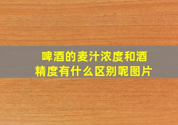 啤酒的麦汁浓度和酒精度有什么区别呢图片