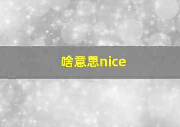 啥意思nice