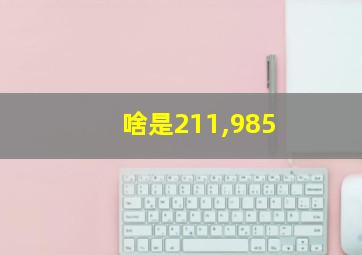 啥是211,985