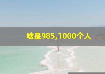 啥是985,1000个人