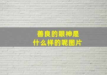 善良的眼神是什么样的呢图片