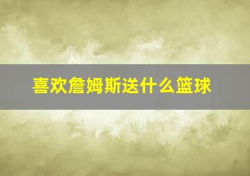 喜欢詹姆斯送什么篮球