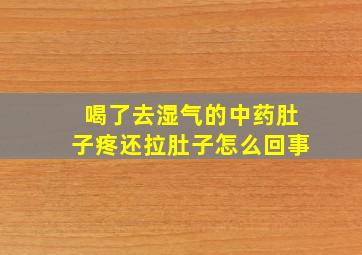 喝了去湿气的中药肚子疼还拉肚子怎么回事