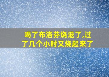 喝了布洛芬烧退了,过了几个小时又烧起来了