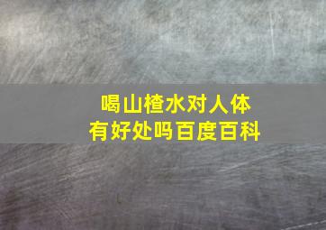 喝山楂水对人体有好处吗百度百科