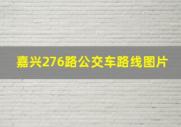 嘉兴276路公交车路线图片