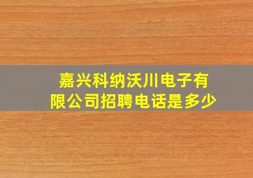 嘉兴科纳沃川电子有限公司招聘电话是多少