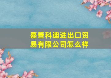 嘉善科迪进出口贸易有限公司怎么样