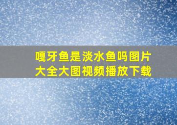 嘎牙鱼是淡水鱼吗图片大全大图视频播放下载