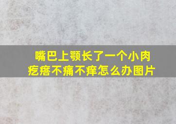 嘴巴上颚长了一个小肉疙瘩不痛不痒怎么办图片